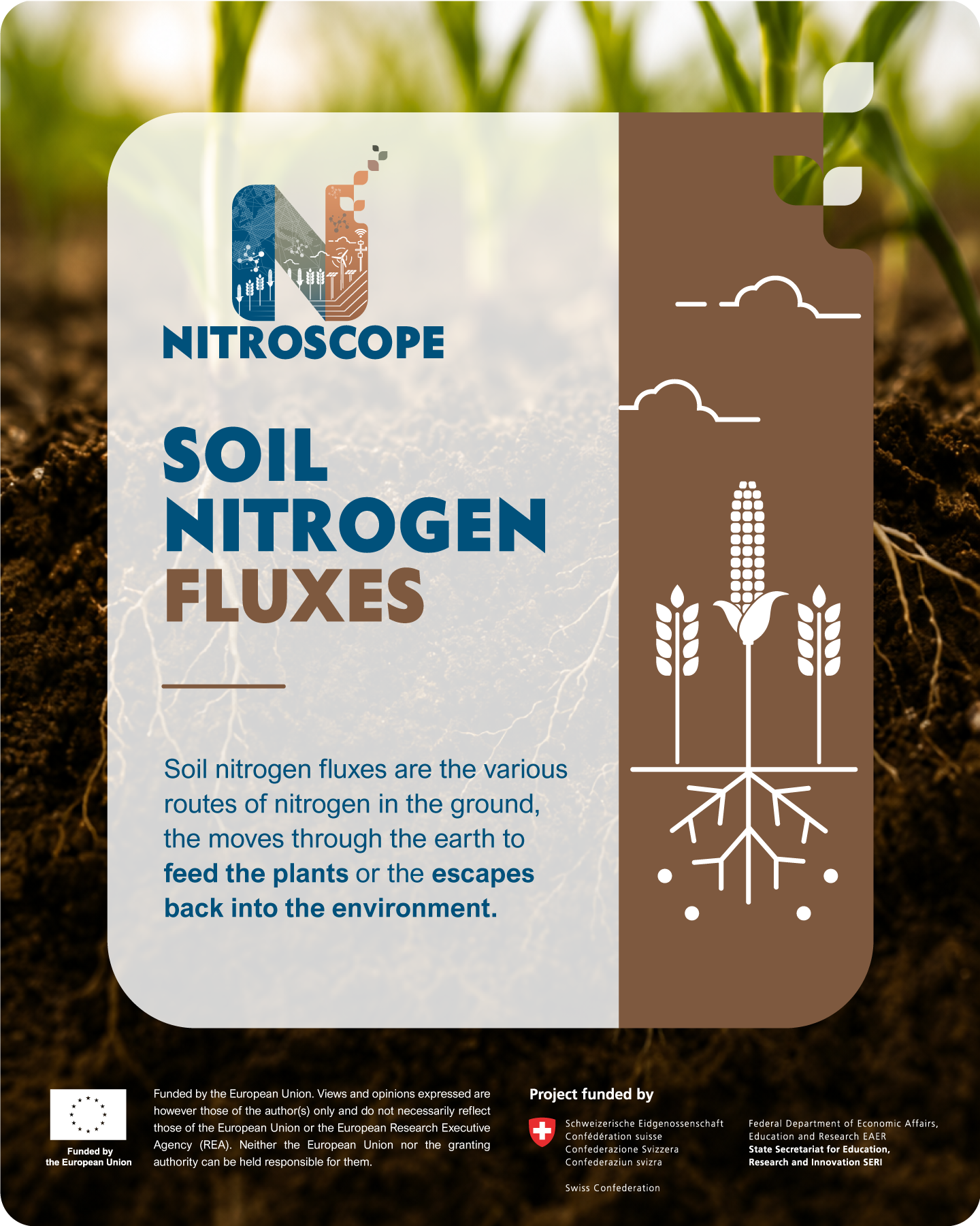 NitroScope snack card 3 in English