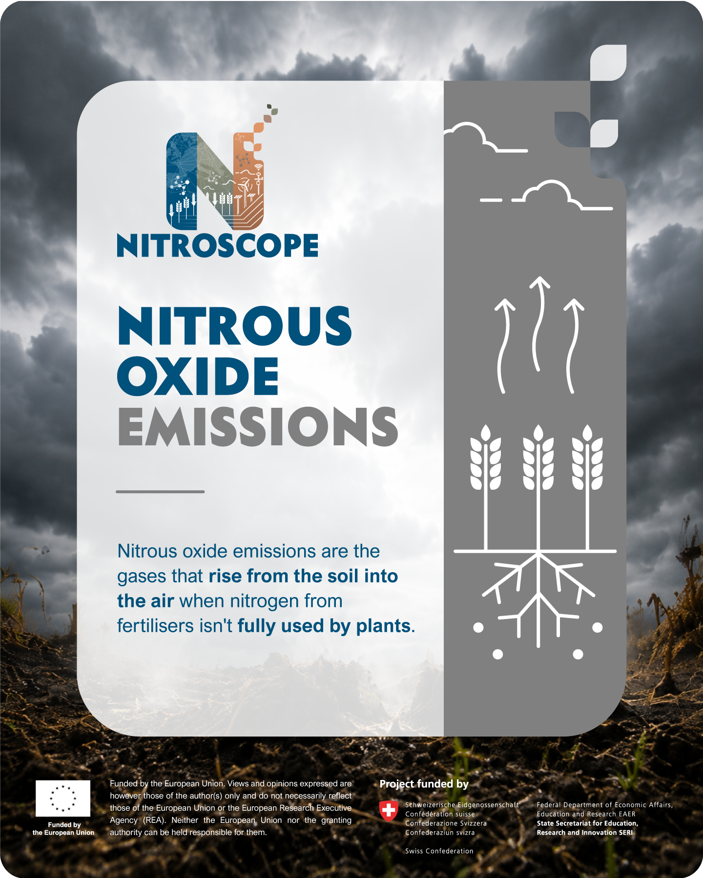 NitroScope snack card 5 in English