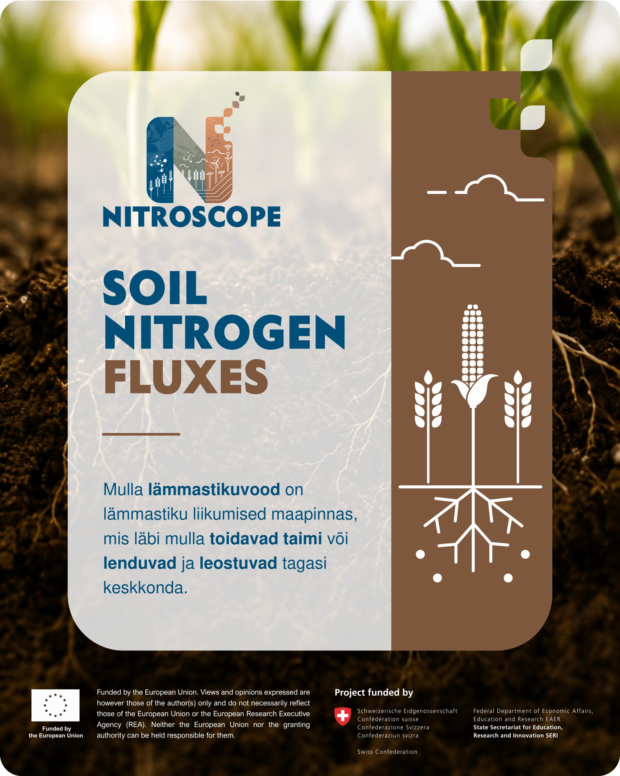 NitroScope snack card 3 in Estonian