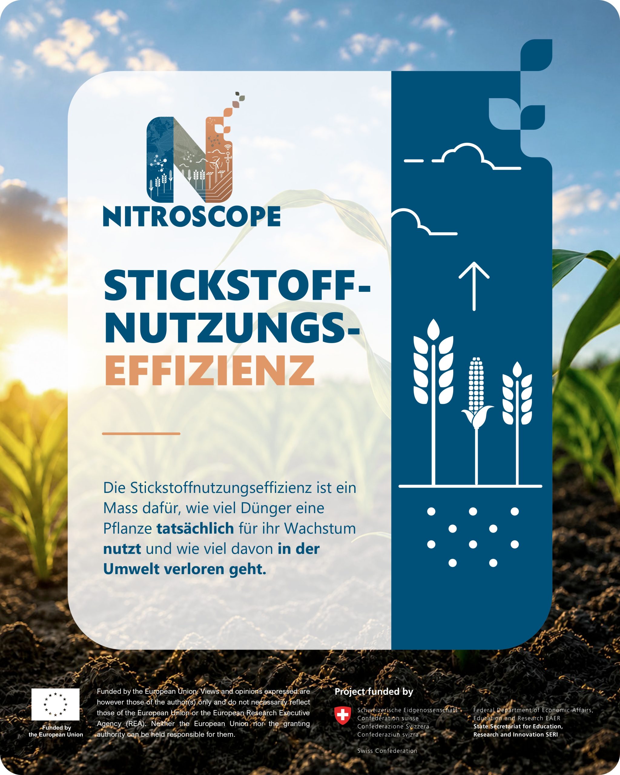 NitroScope snack card 1 in German