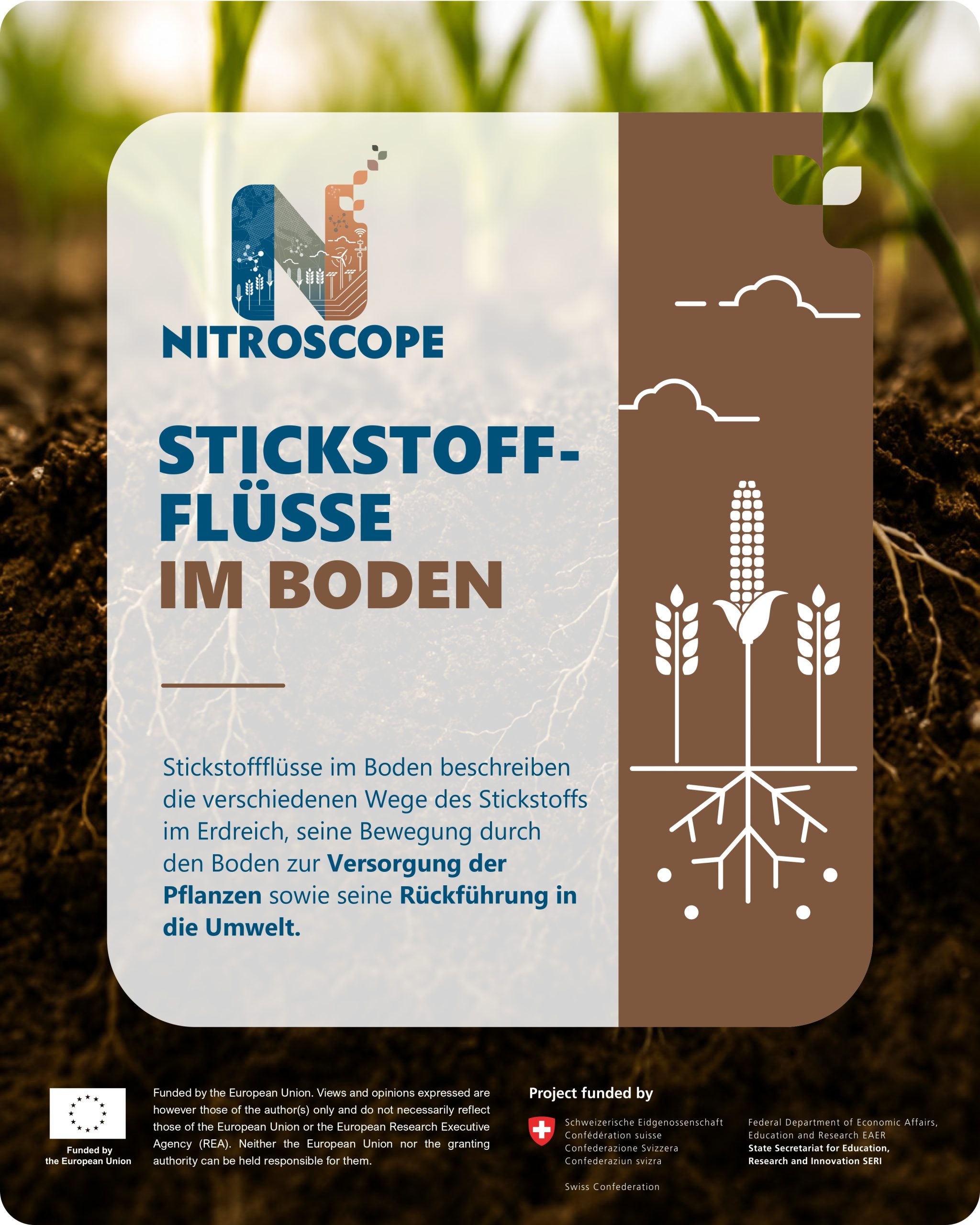 NitroScope snack card 3 in German