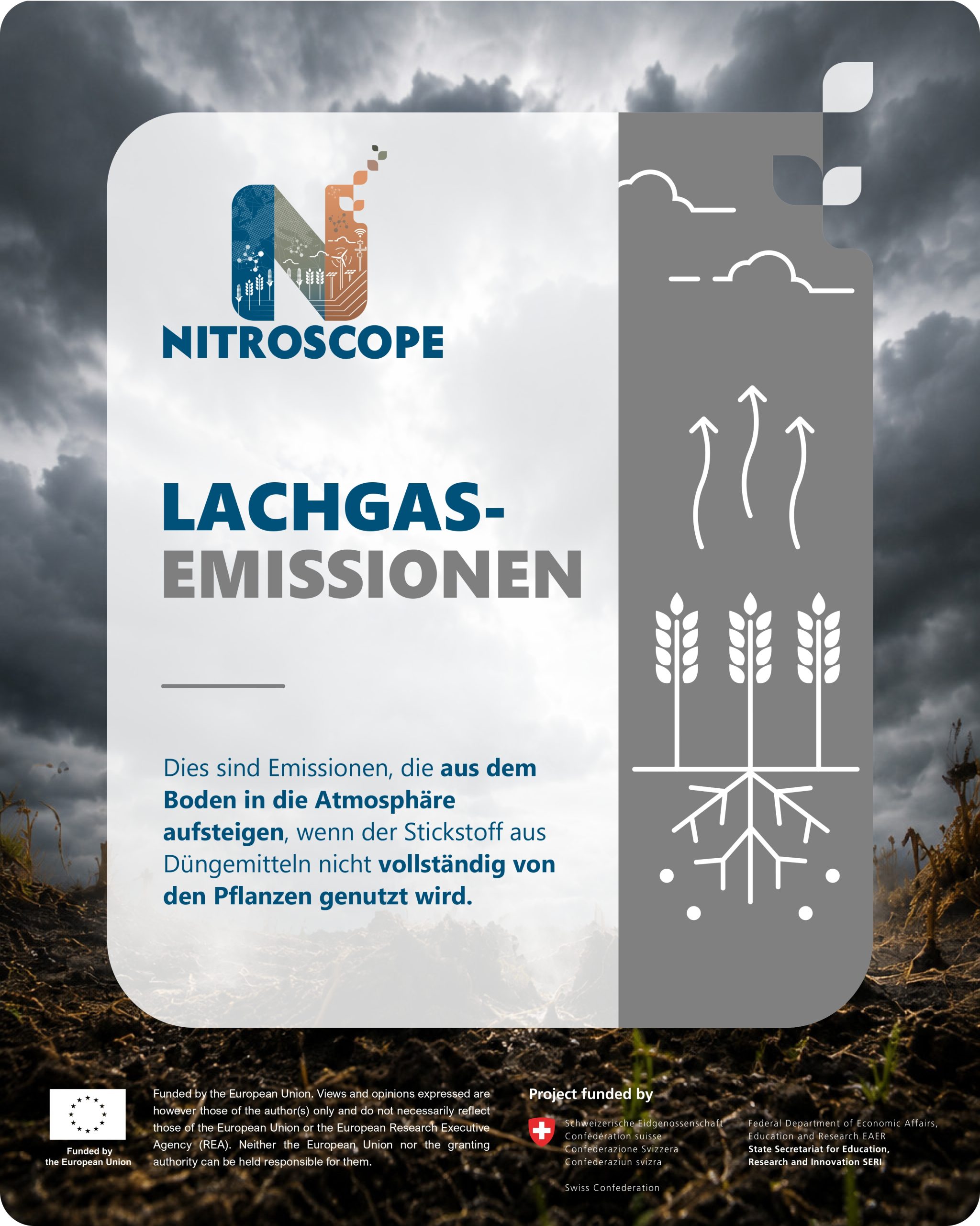 NitroScope snack card 6 in German